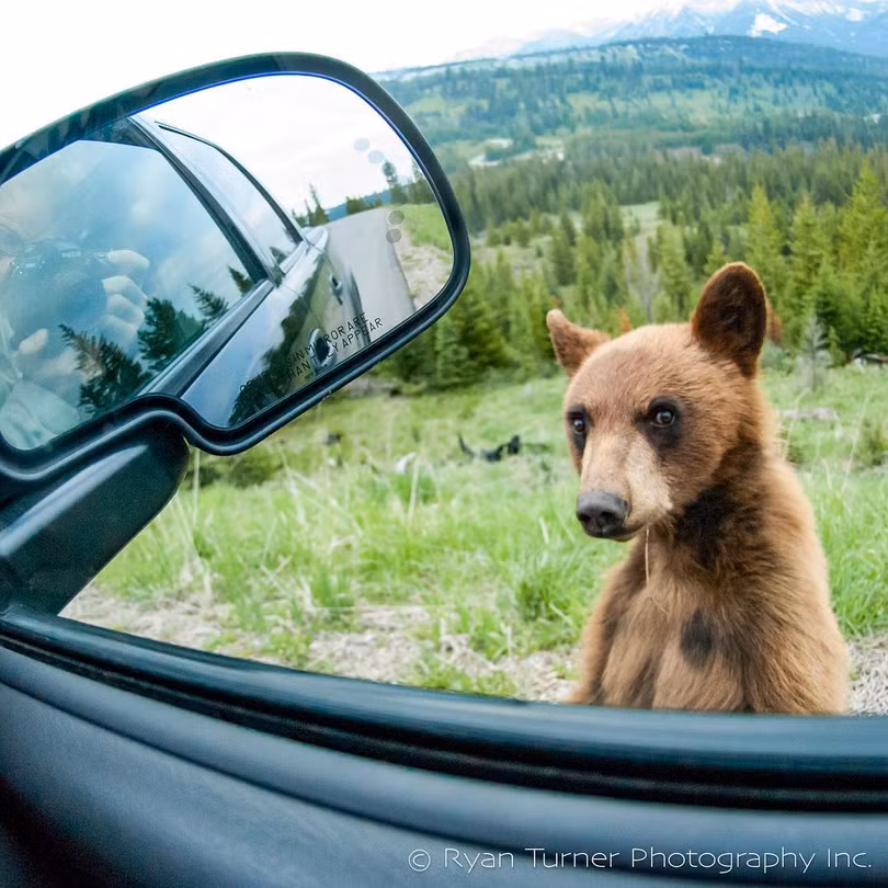 Những cặp đôi có màn phối hợp ăn ý nhất quả đất ảnh 10