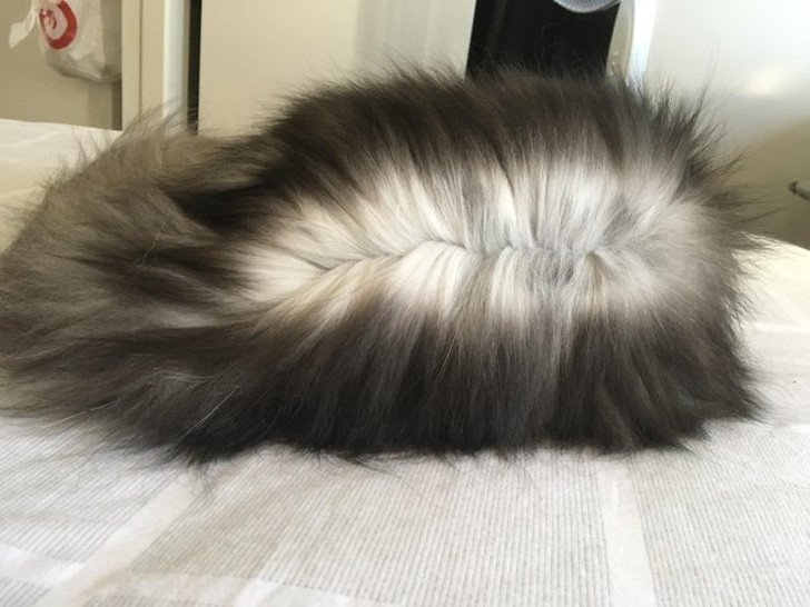 15 sáng tạo tuyệt vời đến từ mẹ thiên nhiên ảnh 9 15 sáng tạo tuyệt vời đến từ mẹ thiên nhiên ảnh 9