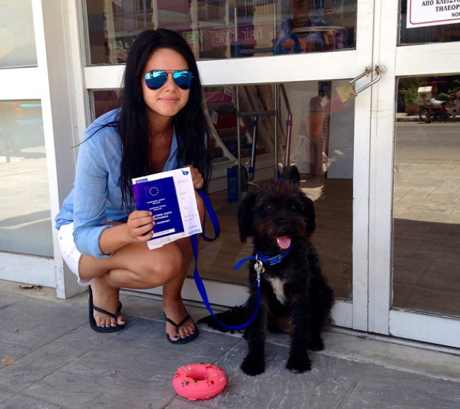 15 bức ảnh cảm động chứng minh chó là động vật trung thành nhất hành tinh ảnh 4 15 bức ảnh cảm động chứng minh chó là động vật trung thành nhất hành tinh ảnh 4