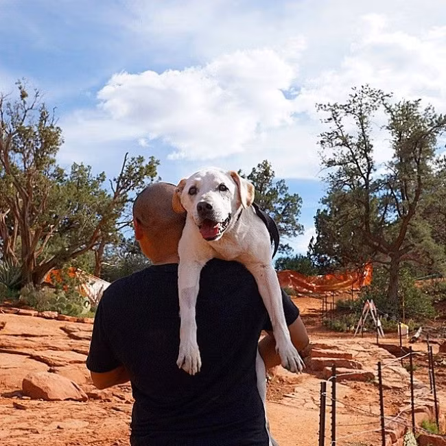 15 bức ảnh cảm động chứng minh chó là động vật trung thành nhất hành tinh ảnh 12