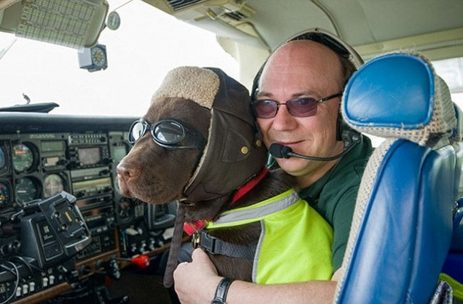 15 bức ảnh cảm động chứng minh chó là động vật trung thành nhất hành tinh ảnh 1 15 bức ảnh cảm động chứng minh chó là động vật trung thành nhất hành tinh ảnh 1