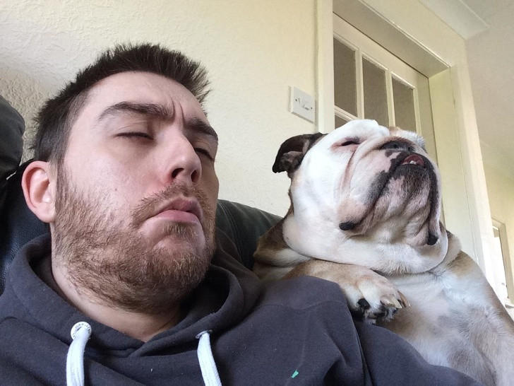 15 hình ảnh về chó Bully khiến bạn mỉm cười ảnh 1 15 hình ảnh về chó Bully khiến bạn mỉm cười ảnh 1