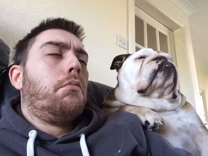 15 hình ảnh về chó Bully khiến bạn mỉm cười ảnh 1