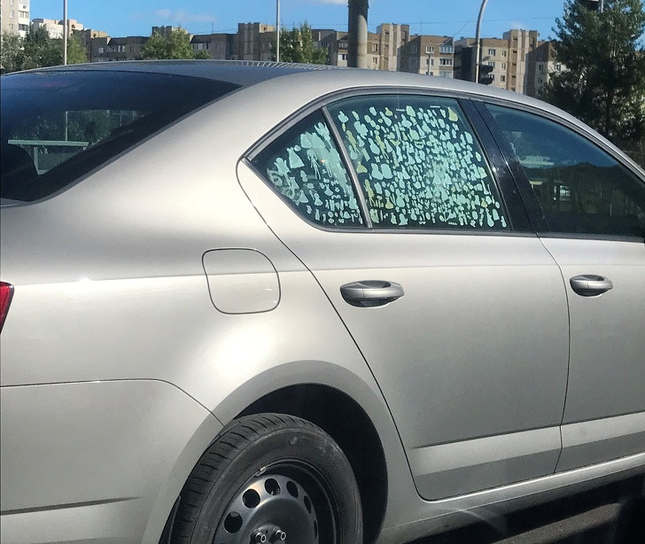 12 ví dụ hoàn hảo về logic trẻ em khiến người lớn cạn lời ảnh 5 12 ví dụ hoàn hảo về logic trẻ em khiến người lớn cạn lời ảnh 5