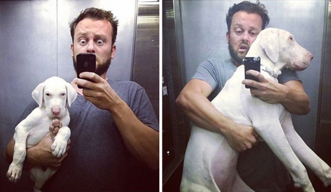 15 bức ảnh cảm động chứng minh chó là động vật trung thành nhất hành tinh ảnh 14 15 bức ảnh cảm động chứng minh chó là động vật trung thành nhất hành tinh ảnh 14