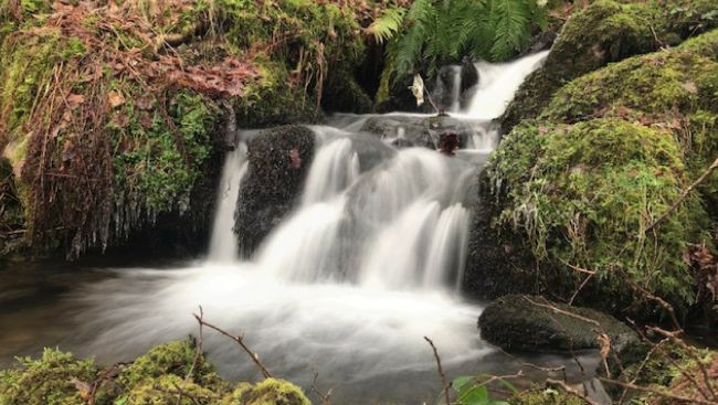 Ảnh: Digitalcameraworld