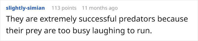 Cộng đồng mạng trườn ra cười khi nhìn thấy khuôn mặt ngớ ngẩn của con trăn cát Ả Rập - Ảnh 8.