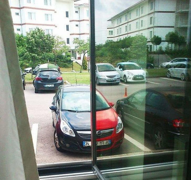 Loạt ảnh chẳng cần photoshop cũng làm lú lẫn bất kỳ ai nhìn vào - Ảnh 11.