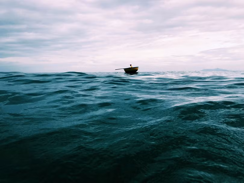 Những bức ảnh đoạt giải chụp bằng iPhone năm 2019