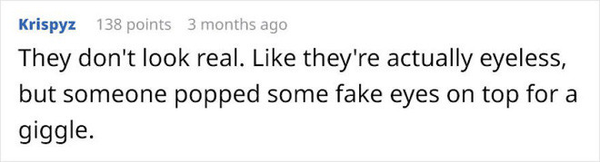 Cộng đồng mạng trườn ra cười khi nhìn thấy khuôn mặt ngớ ngẩn của con trăn cát Ả Rập - Ảnh 6.