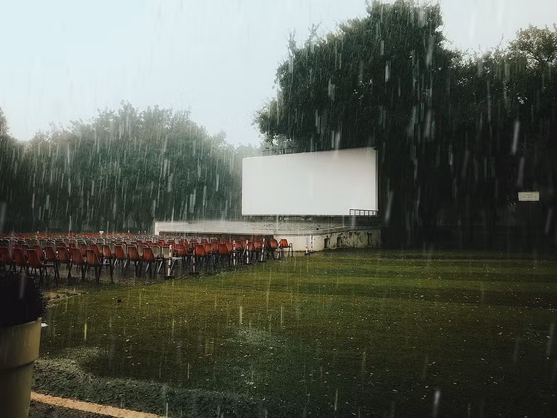 Những bức ảnh đoạt giải chụp bằng iPhone năm 2019