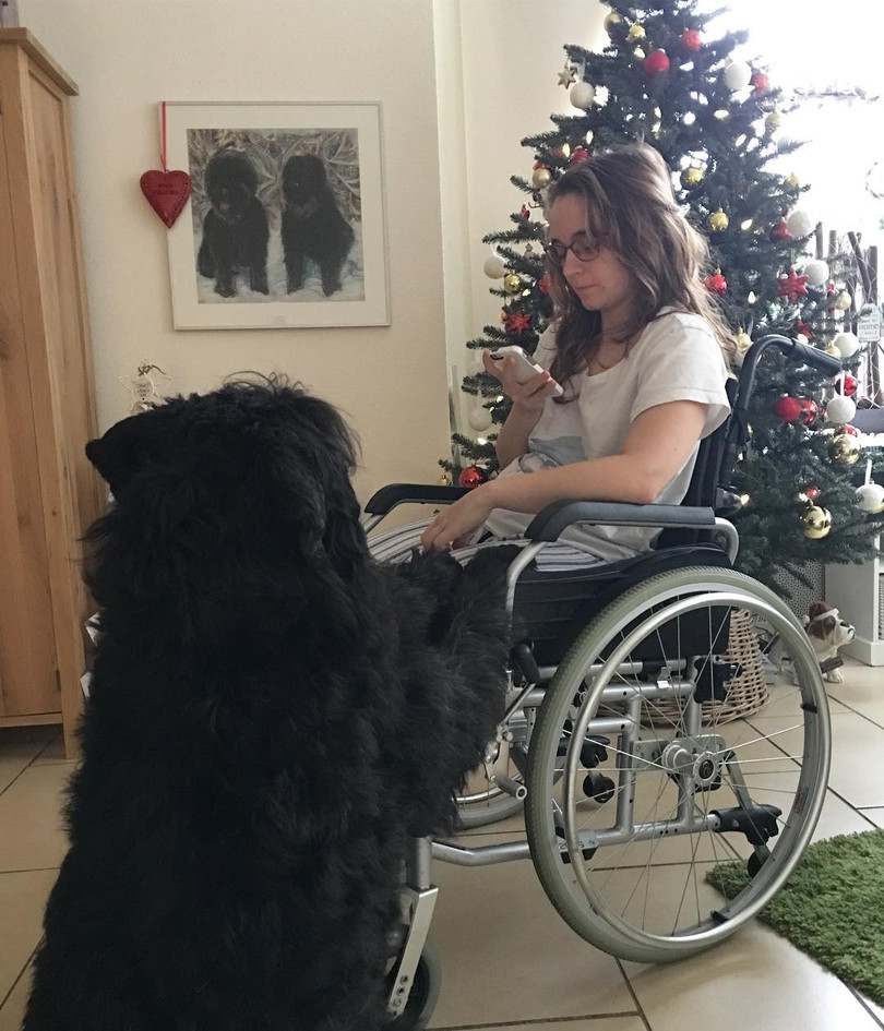 15 hình ảnh chứng minh cuộc sống sẽ ý nghĩa hơn nếu có thú cưng ảnh 11