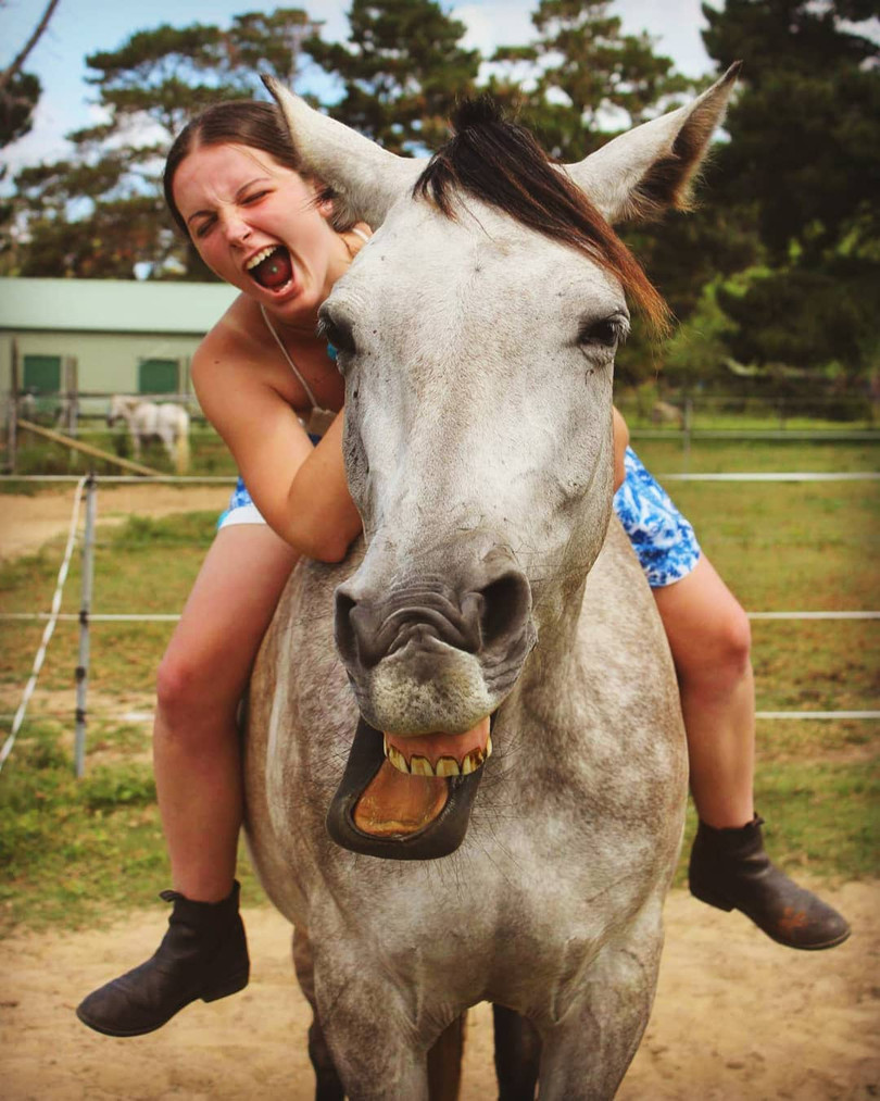 15 ảnh chụp động vật có khoảnh khắc hoàn hảo khiến bạn bối rối ảnh 8