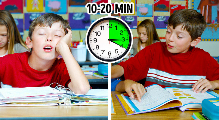 Ngủ trưa có thể ngăn ngừa bệnh tật, cải thiện trí nhớ và tăng tốc độ giảm cân ảnh 1 Ngủ trưa có thể ngăn ngừa bệnh tật, cải thiện trí nhớ và tăng tốc độ giảm cân ảnh 1