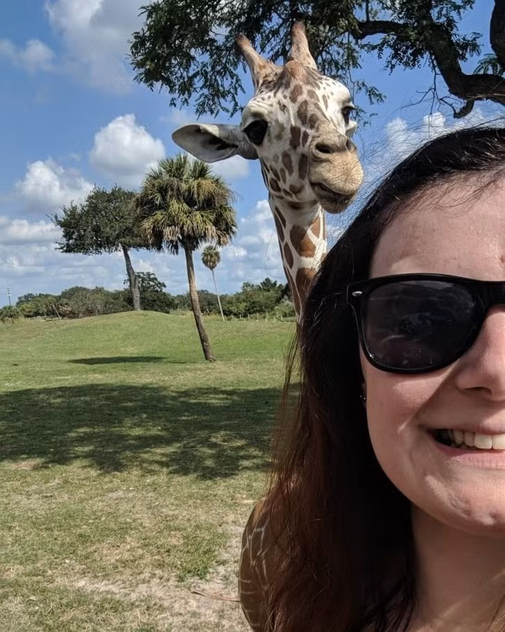 15 bức ảnh hài hước khiến cuộc sống của bạn tươi sáng hơn ảnh 7