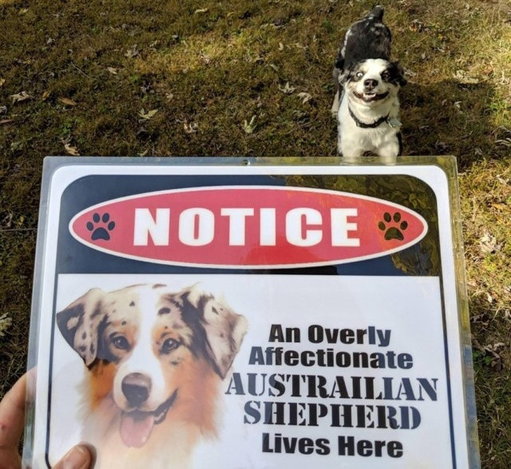 15 bức ảnh hài hước khiến cuộc sống của bạn tươi sáng hơn ảnh 4