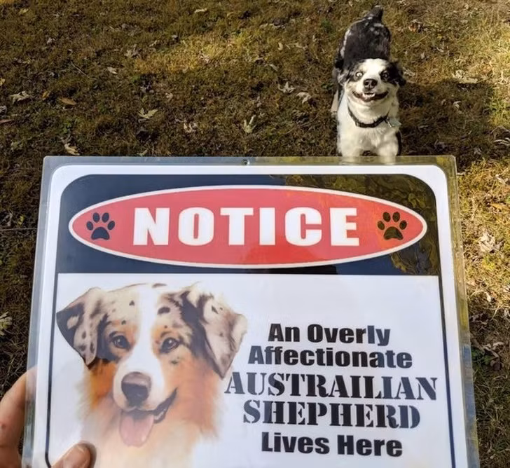 15 bức ảnh hài hước khiến cuộc sống của bạn tươi sáng hơn ảnh 4