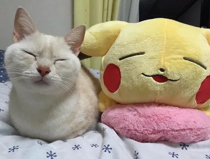 15 bức ảnh hài hước khiến cuộc sống của bạn tươi sáng hơn ảnh 9