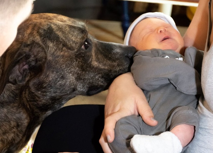 15 bức ảnh hài hước khiến cuộc sống của bạn tươi sáng hơn ảnh 13