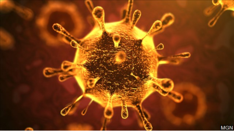 Virus Corona. Ảnh: WDTV Ảnh: WDTV