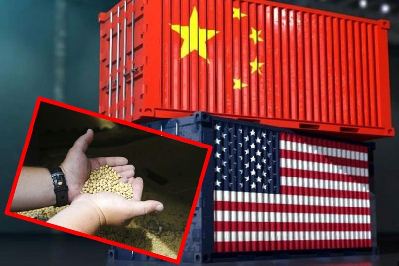 Trung Quốc đã tuyên bố bãi bỏ thuế đối với đậu tương, thịt lợn và bắt đầu mua số lượng lớn từ Mỹ Trung Quốc đã tuyên bố bãi bỏ thuế đối với đậu tương, thịt lợn và bắt đầu mua số lượng lớn từ Mỹ