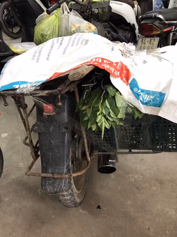 Xe của chị Chinh dùng để bán hàng rong tại khu vực phường Bãi Cháy, TP Hạ Long bị tạm giữ. Ảnh: Tuổi Trẻ