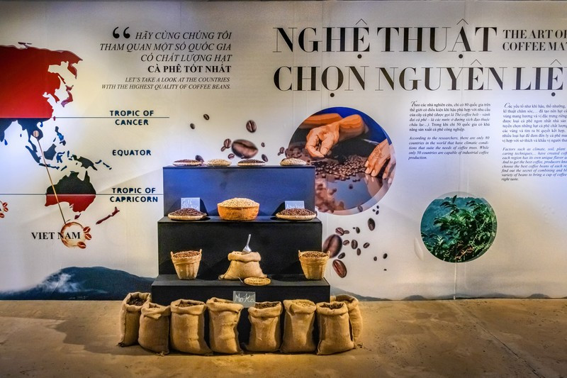 Cà phê tại Buôn Ma Thuột. Ảnh: Shutterstock