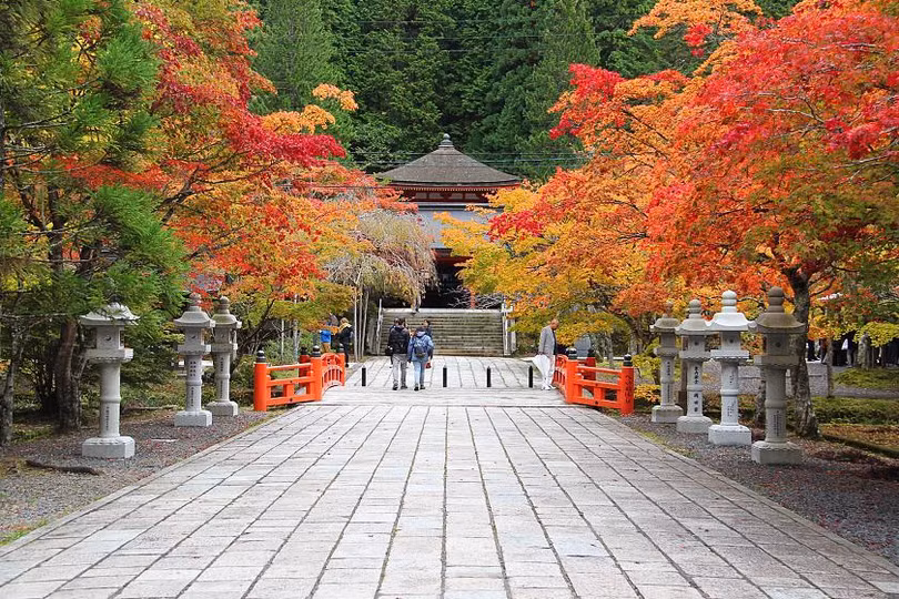 Là nơi sinh của Phật giáo Shingon, đây là ngôi nhà của hơn 100 ngôi chùa