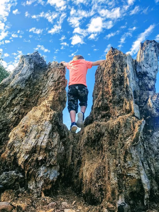 20 bức ảnh siêu ảo nhìn như Photoshop nhưng hóa ra là người thật việc thật 100% - Ảnh 9.