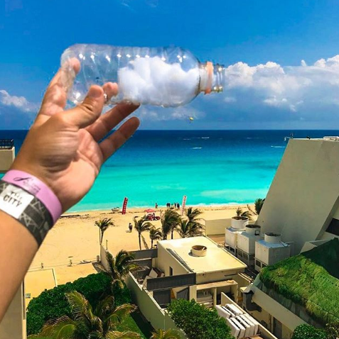 Nguồn: Bright Side