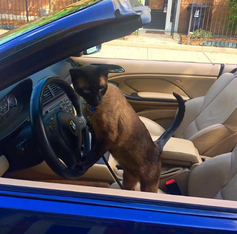 Nguồn: Bright Side