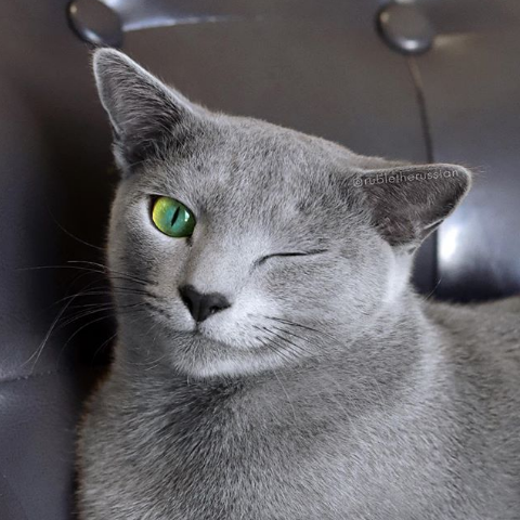 Nguồn: Bright Side