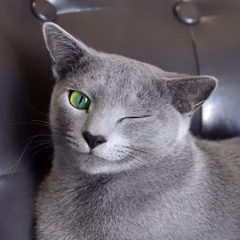 Nguồn: Bright Side