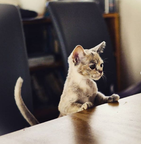 Nguồn: Bright Side