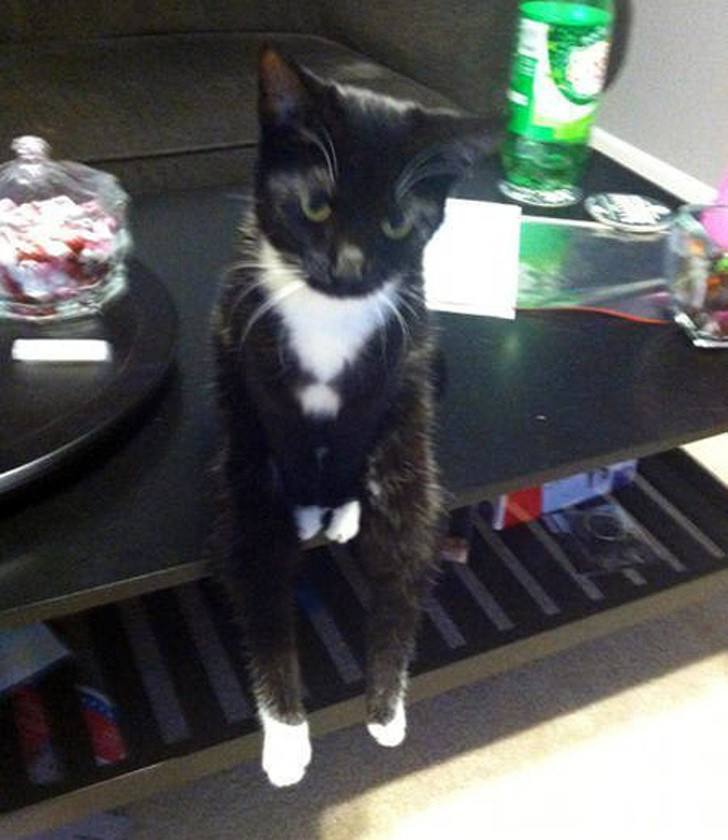 Nguồn: Bright Side