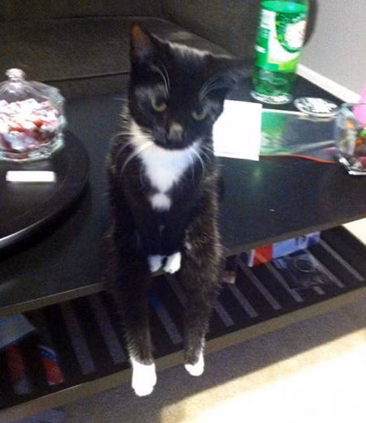 Nguồn: Bright Side