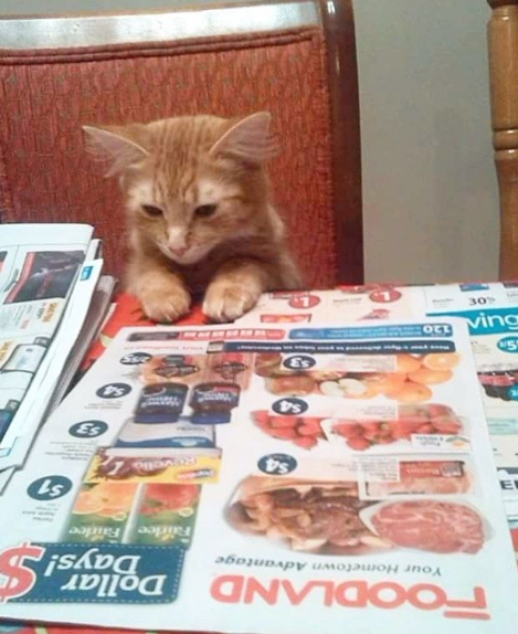 Nguồn: Bright Side