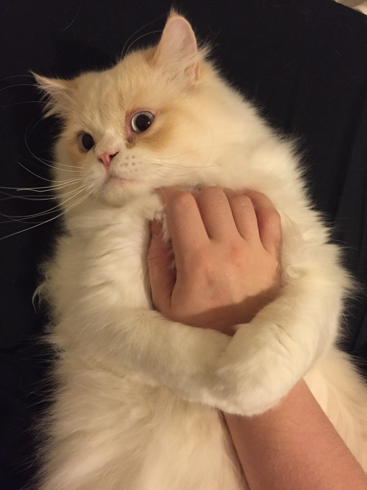 Nguồn: Bright Side