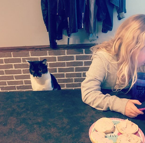 Nguồn: Bright Side