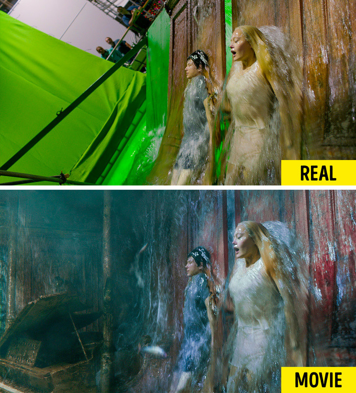 Nguồn: Bright Side