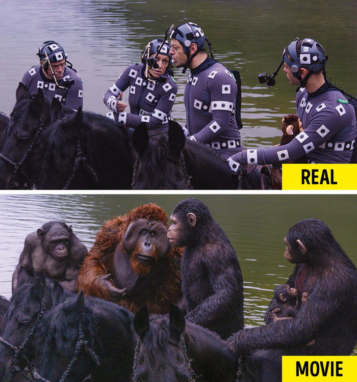 Nguồn: Bright Side