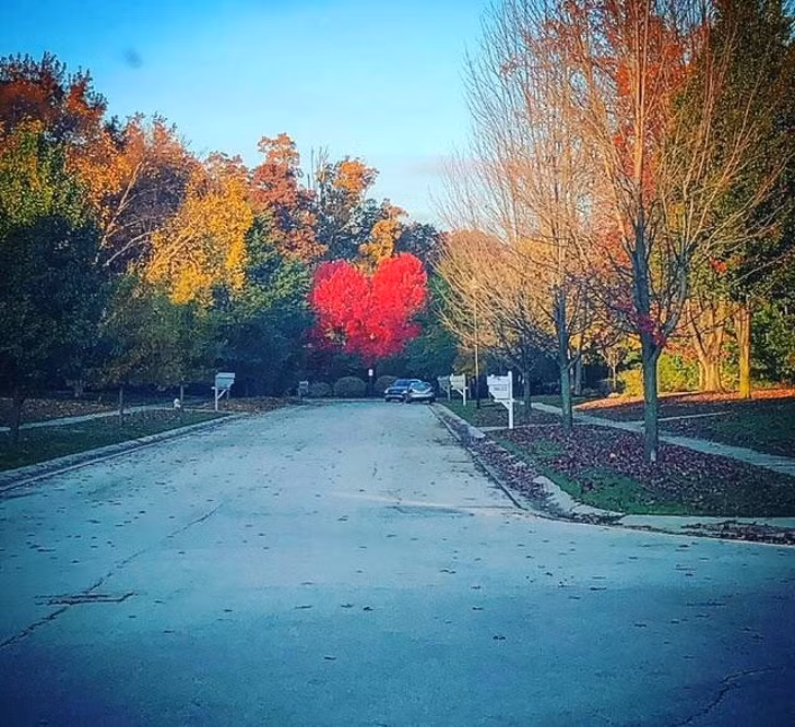 Nguồn: Bright Side Nguồn: Bright Side