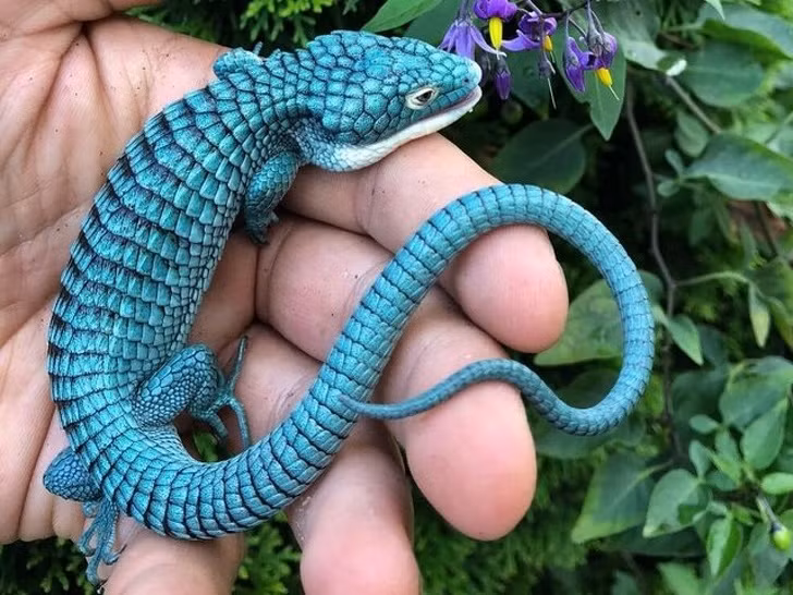 Nguồn: Bright Side Nguồn: Bright Side