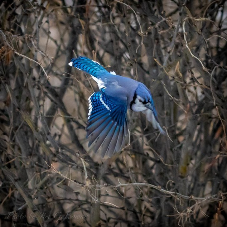 Nguồn: Bright Side