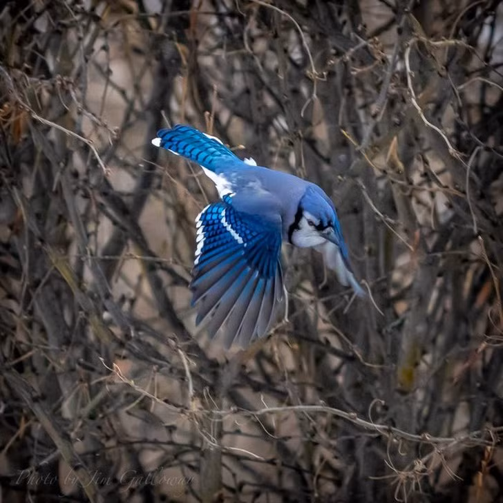 Nguồn: Bright Side Nguồn: Bright Side