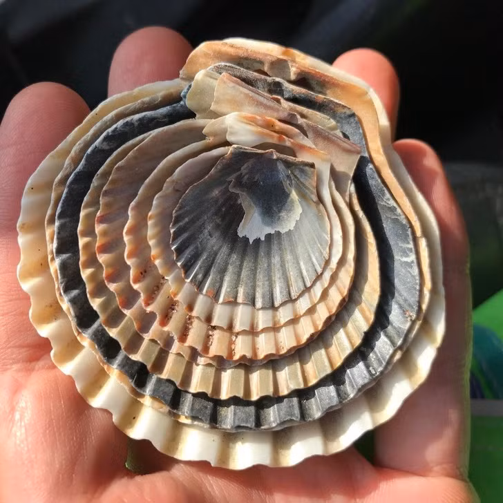 Nguồn: Bright Side Nguồn: Bright Side