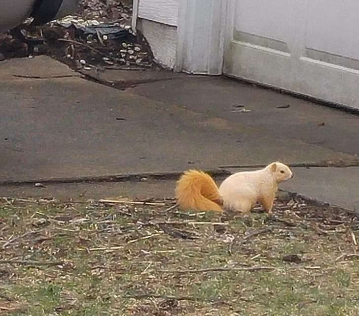 Nguồn: Bright Side Nguồn: Bright Side