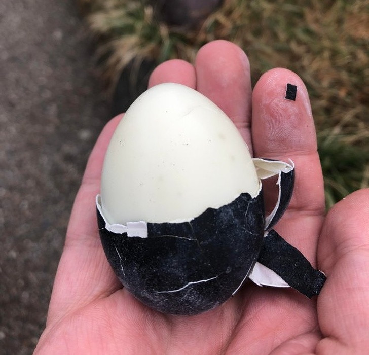 Nguồn: Bright Side