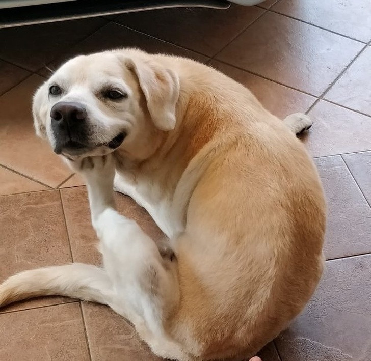 Nguồn: Bright Side