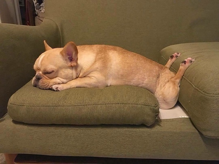 Nguồn: Bright Side